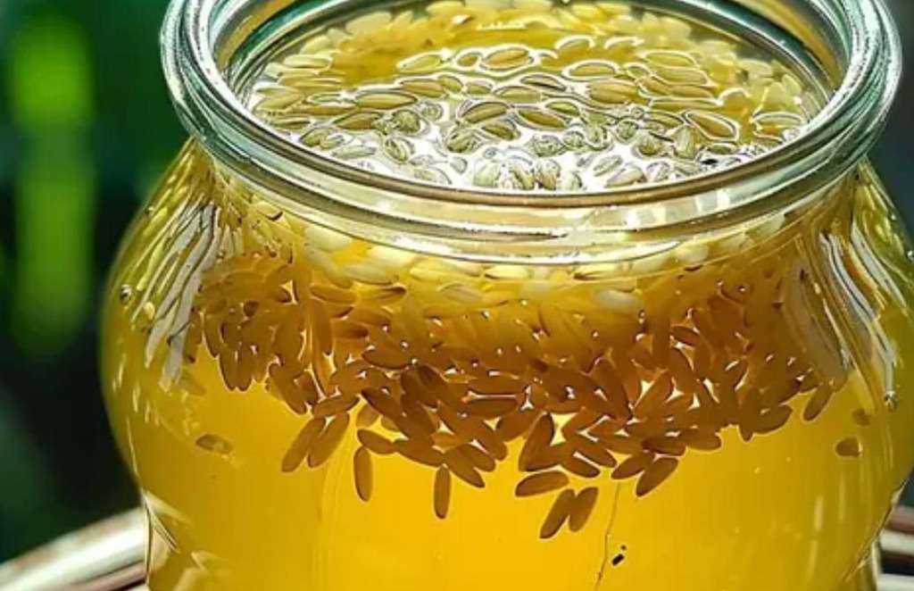 Baza ryżowa